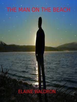 cover image of The Man on the Beach